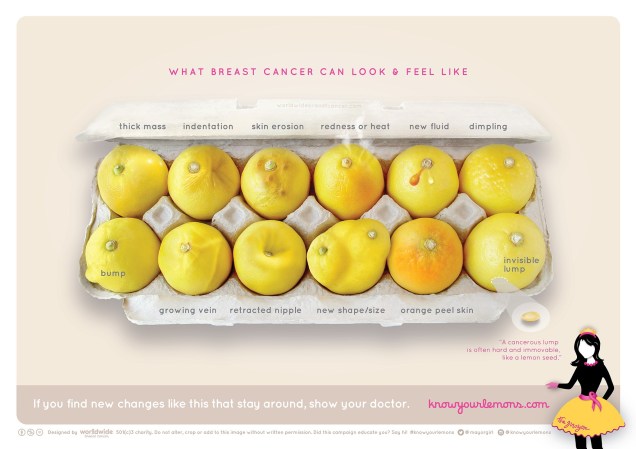 what_breast_cancer_looks_like-copy